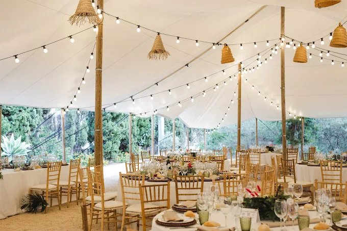 Carpa boda con luces